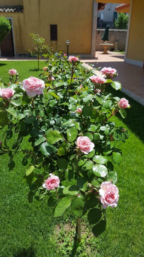 Villa Le Rose à Modica Extérieur photo